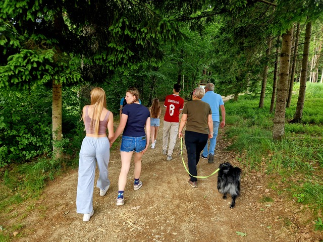 családi erdőfürdő erdofurdozz.hu