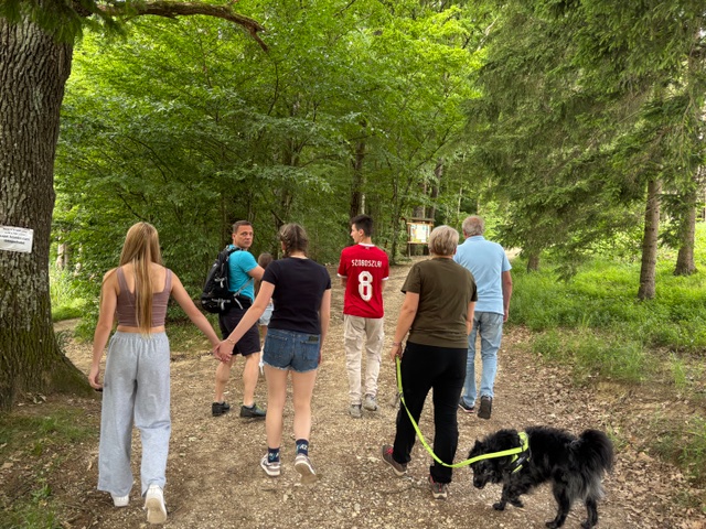 családi erdőfürdőzés erdofurdozz.hu