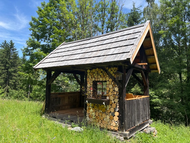 relaxálj erdőfürdővel erdofurdozz.hu shinrin-yoku