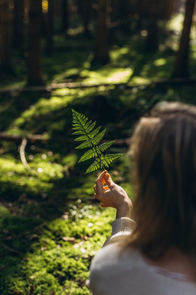 stresszkezelés erdőfürdővel erdofurdozz.hu