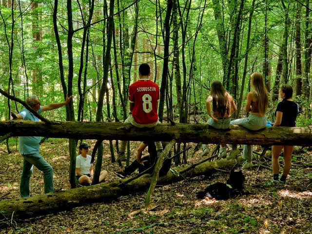 családi erdőfürdő erdofurdozz.hu